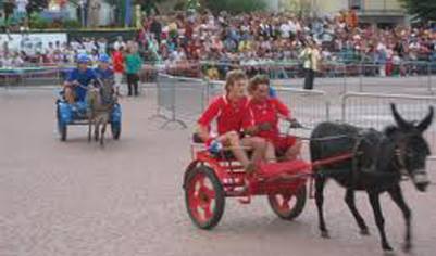 palio
