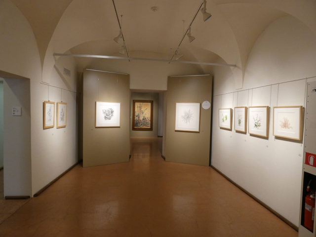 Museo Lechi: oltre 1000 visitatori alla mostra su Proust