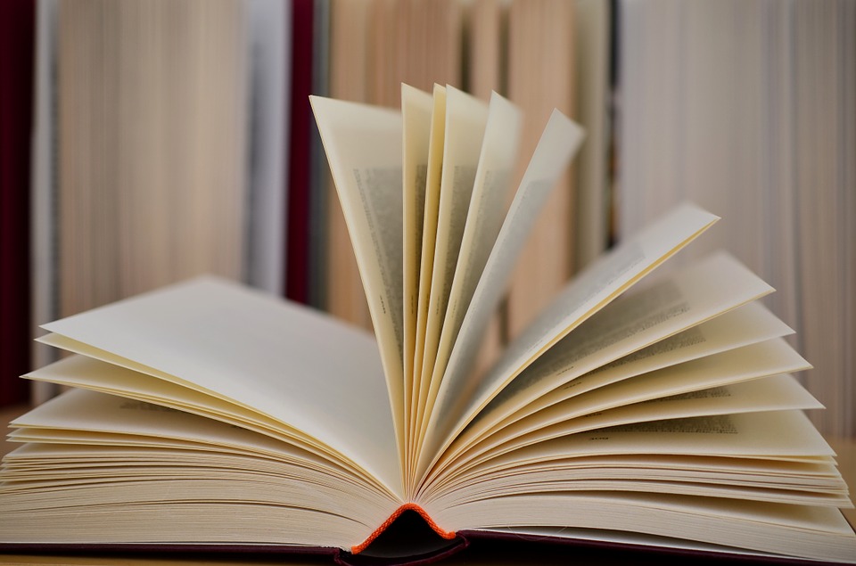 Un Romanzo per sostenere l'emergenza economico-sociale